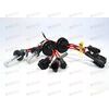 Лампа ксенон H1 6000К (2 шт) ProLumen