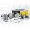 Поршневая группа 405 95,5 Г (поршни+пальцы+кольца) (GPART) ГАЗ