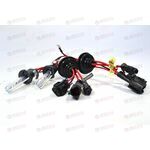 Лампа ксенон H1 6000К (2 шт) ProLumen