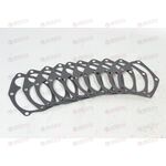 Прокладка насоса водяного (10 шт) SANDERO/LOGAN/DUSTER/MEGANE II/CLIO II/KANGOO/FLUENCE/TWINGO/LAGUNA III (32221) ASAM