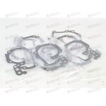 Прокладка насоса водяного (10 шт) SANDERO/LOGAN/MEGANE I/CLIO II/KANGOO/LARGUS/MCV (32220) ASAM