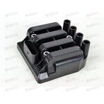 Катушка зажигания (GN10383-12B1) DELPHI