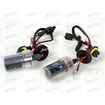 Лампа ксенон H11 6000К (2 шт) AV