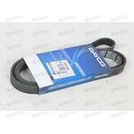 Ремень ручейковый (5PK1545) DAYCO