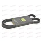 Ремень генератора Renault Megane II (02-) (5PK1200) TRIALLI