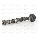 Вал распределительный впуск (E010120005) GEELY
