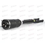 Стойка амортизационная пневматическая передняя (AG 15959) TRIALLI