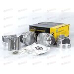 Поршневая группа 405 96,0 Г (поршни+пальцы+кольца) (GPART) ГАЗ