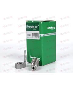 Форсунка масляная двигателя (B11161) BORSEHUNG